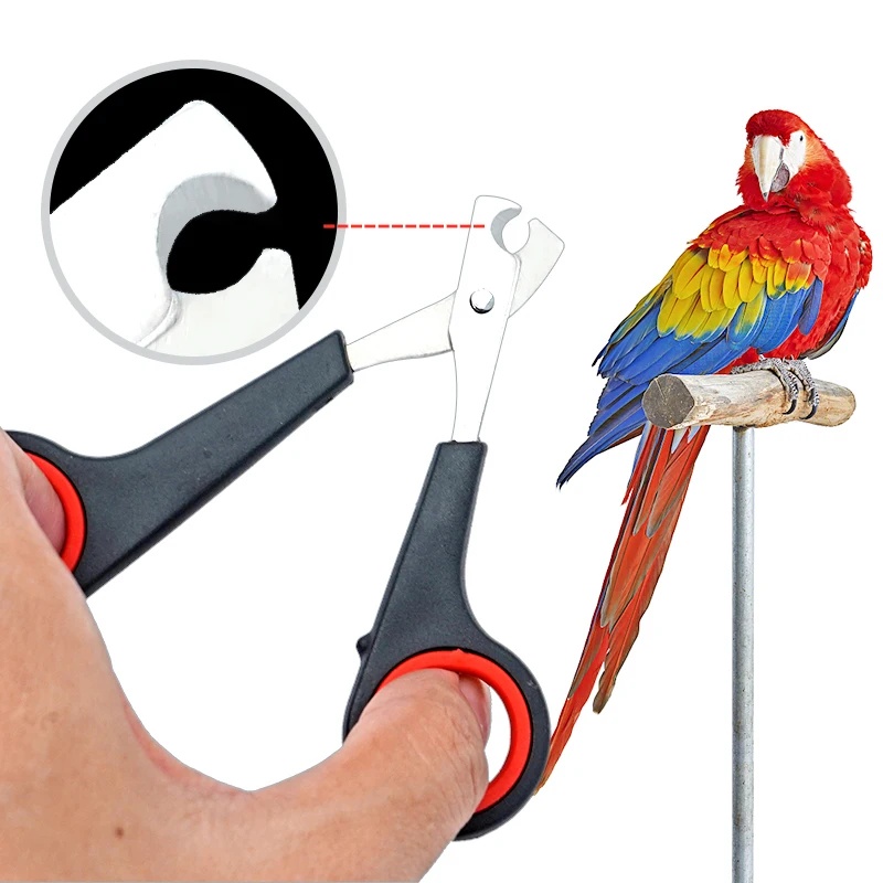Grooming Scissors - 12cm Haustier-Nagelschere für Papageien, Hunde, Katzen,
