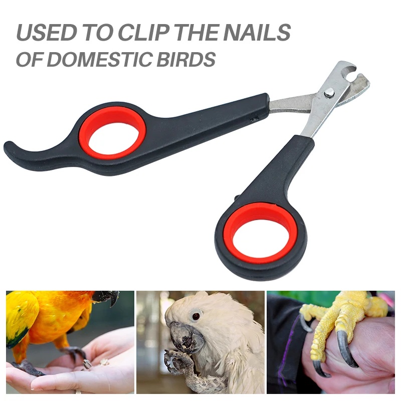 12cm Haustier-Nagelschere für  – Grooming Scissors Bewertung und Preis